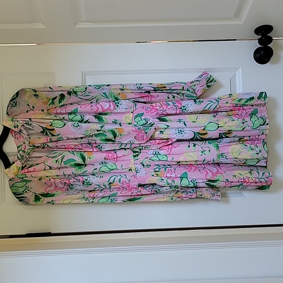 Lilly Pulitzer Ellielynn Long Sleeve Dress - Picture 7 of 12